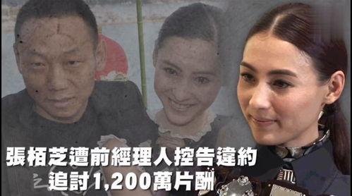 娱乐吃瓜趴,揭秘明星们的“吃瓜趴”幕后故事